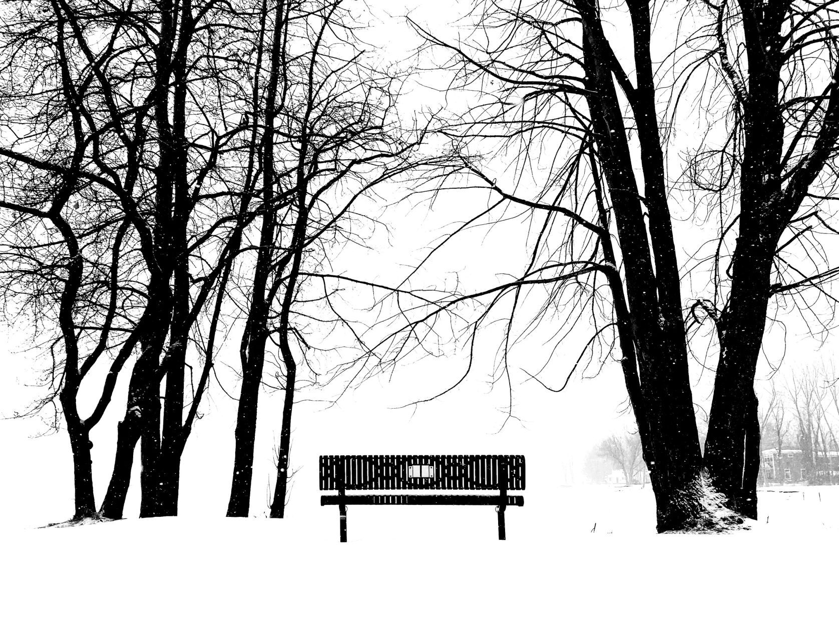 Whiteout on the lake